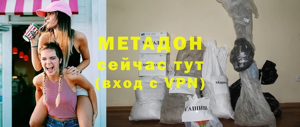 индика Арсеньев