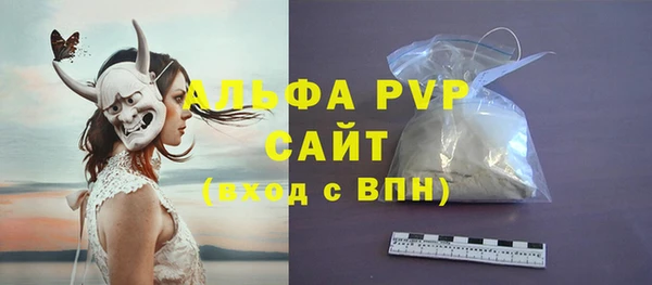 индика Арсеньев