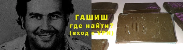 индика Арсеньев