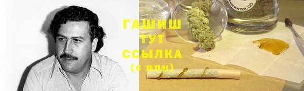 индика Арсеньев