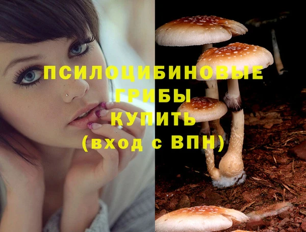 метадон Аркадак