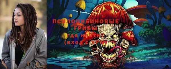 индика Арсеньев
