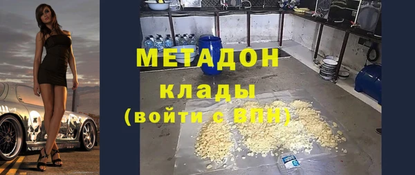 индика Арсеньев